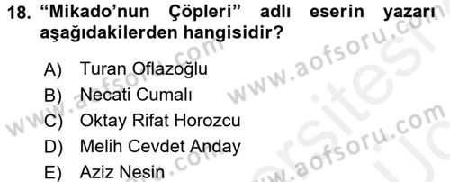 Türk Tiyatrosu Dersi 2017 - 2018 Yılı 3 Ders Sınav Soruları 18. Soru