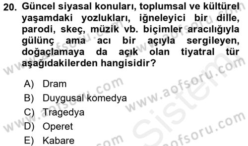 Türk Tiyatrosu Dersi 2017 - 2018 Yılı 3 Ders Sınav Soruları 20. Soru