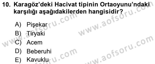 Türk Tiyatrosu Dersi 2017 - 2018 Yılı (Vize) Ara Sınav Soruları 10. Soru