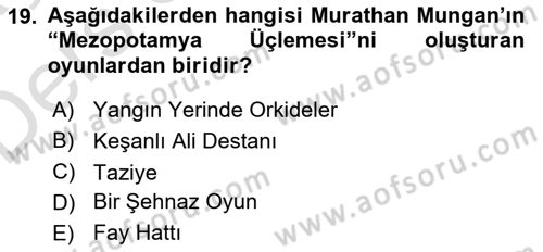 Türk Tiyatrosu Dersi 2018 - 2019 Yılı 3 Ders Sınavı 19. Soru