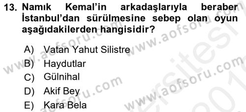 Türk Tiyatrosu Dersi 2018 - 2019 Yılı (Vize) Ara Sınav Soruları 13. Soru