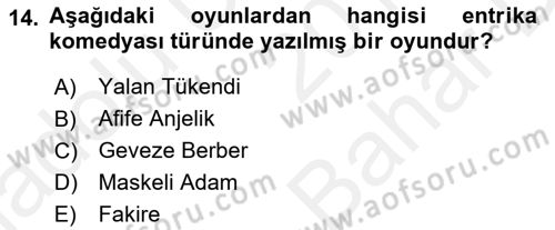 Türk Tiyatrosu Dersi 2018 - 2019 Yılı (Vize) Ara Sınav Soruları 14. Soru