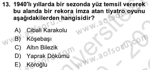 Türk Tiyatrosu Dersi 2020 - 2021 Yılı Yaz Okulu Sınav Soruları 13. Soru