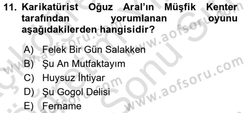 Türk Tiyatrosu Dersi 2021 - 2022 Yılı (Final) Dönem Sonu Sınav Soruları 11. Soru
