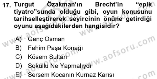 Türk Tiyatrosu Dersi 2021 - 2022 Yılı (Final) Dönem Sonu Sınav Soruları 17. Soru