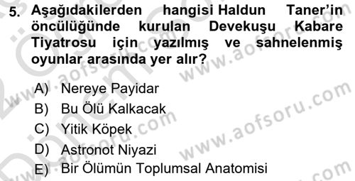 Türk Tiyatrosu Dersi 2021 - 2022 Yılı (Final) Dönem Sonu Sınav Soruları 5. Soru