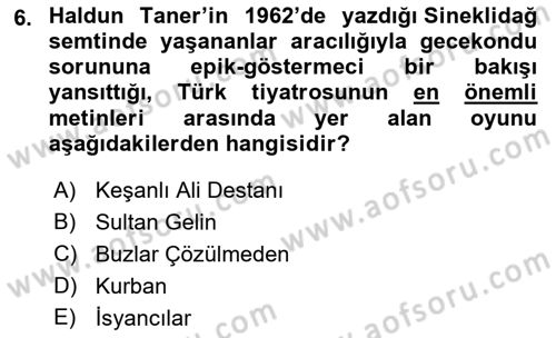 Türk Tiyatrosu Dersi 2021 - 2022 Yılı (Final) Dönem Sonu Sınav Soruları 6. Soru