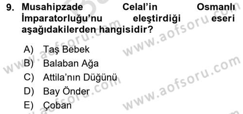 Türk Tiyatrosu Dersi 2021 - 2022 Yılı (Final) Dönem Sonu Sınav Soruları 9. Soru