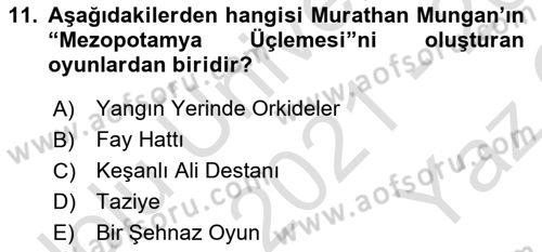 Türk Tiyatrosu Dersi 2021 - 2022 Yılı Yaz Okulu Sınav Soruları 11. Soru