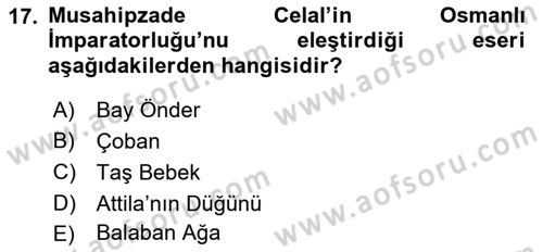 Türk Tiyatrosu Dersi 2021 - 2022 Yılı Yaz Okulu Sınav Soruları 17. Soru