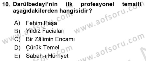 Türk Tiyatrosu Dersi 2023 - 2024 Yılı (Final) Dönem Sonu Sınav Soruları 10. Soru
