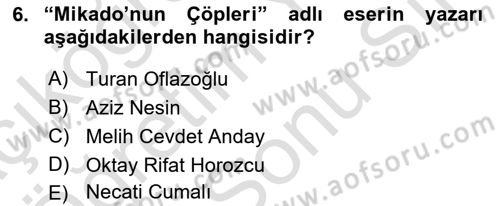 Türk Tiyatrosu Dersi 2023 - 2024 Yılı (Final) Dönem Sonu Sınav Soruları 6. Soru