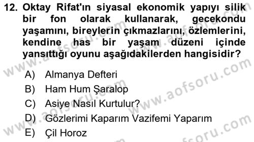 Türk Tiyatrosu Dersi 2024 - 2025 Yılı (Final) Dönem Sonu Sınav Soruları 12. Soru
