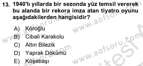 Türk Tiyatrosu Dersi 2024 - 2025 Yılı Yaz Okulu Sınav Soruları 13. Soru