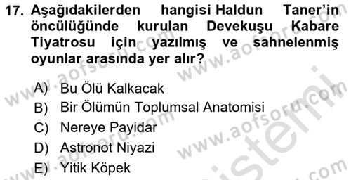 Türk Tiyatrosu Dersi 2024 - 2025 Yılı Yaz Okulu Sınav Soruları 17. Soru