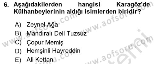 Türk Tiyatrosu Dersi 2024 - 2025 Yılı Yaz Okulu Sınav Soruları 6. Soru