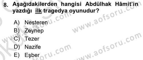 Türk Tiyatrosu Dersi 2024 - 2025 Yılı Yaz Okulu Sınav Soruları 8. Soru