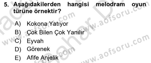 Türk Tiyatrosu Dersi 2025 - 2026 Yılı (Final) Dönem Sonu Sınav Soruları 5. Soru