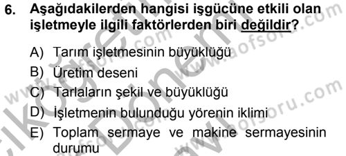 Tarım Ekonomisi Dersi 2012 - 2013 Yılı (Final) Dönem Sonu Sınav Soruları 6. Soru
