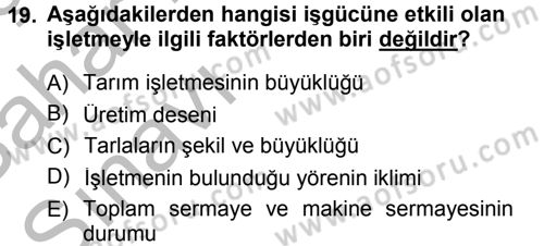 Tarım Ekonomisi Dersi 2013 - 2014 Yılı (Vize) Ara Sınav Soruları 19. Soru
