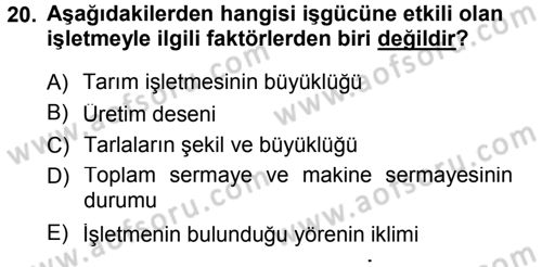 Tarım Ekonomisi Dersi 2014 - 2015 Yılı (Vize) Ara Sınav Soruları 20. Soru