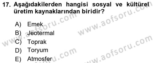 Tarım Ekonomisi Dersi 2020 - 2021 Yılı Yaz Okulu Sınav Soruları 17. Soru