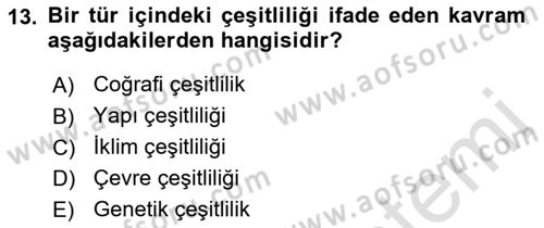 Tarım Ekonomisi Dersi 2021 - 2022 Yılı (Vize) Ara Sınavı 13. Soru