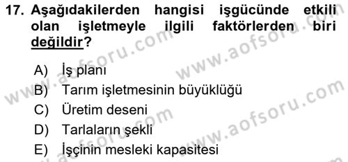 Tarım Ekonomisi Dersi 2023 - 2024 Yılı (Vize) Ara Sınavı 17. Soru