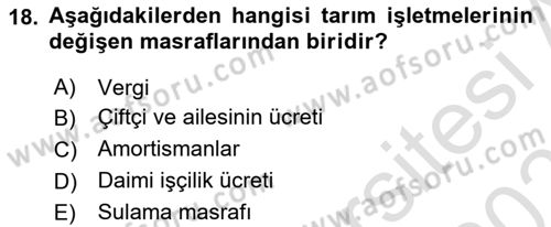 Tarım Ekonomisi Dersi 2024 - 2025 Yılı (Vize) Ara Sınav Soruları 18. Soru