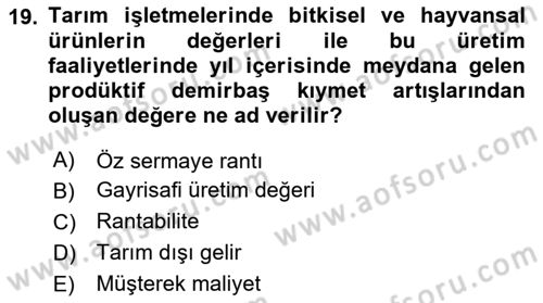 Tarım Ekonomisi Dersi 2024 - 2025 Yılı (Vize) Ara Sınav Soruları 19. Soru