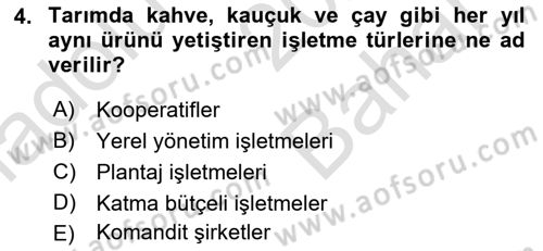 Tarım Ekonomisi Dersi 2024 - 2025 Yılı (Vize) Ara Sınav Soruları 4. Soru