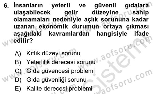 Tarım Ekonomisi Dersi 2024 - 2025 Yılı (Vize) Ara Sınav Soruları 6. Soru