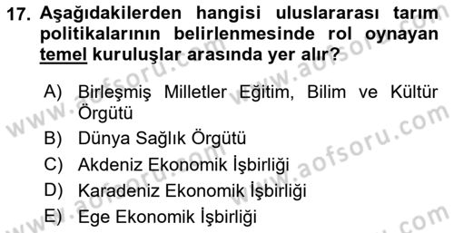 Tarım Ekonomisi Dersi 2024 - 2025 Yılı (Final) Dönem Sonu Sınav Soruları 17. Soru