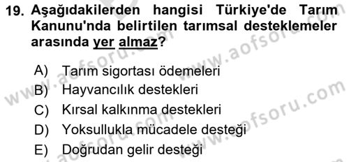 Tarım Ekonomisi Dersi 2024 - 2025 Yılı (Final) Dönem Sonu Sınav Soruları 19. Soru