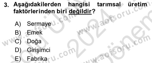 Tarım Ekonomisi Dersi 2024 - 2025 Yılı (Final) Dönem Sonu Sınav Soruları 3. Soru