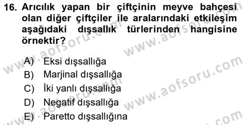 Tarım Ekonomisi Dersi 2024 - 2025 Yılı Yaz Okulu Sınav Soruları 16. Soru