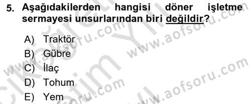 Tarım Ekonomisi Dersi 2024 - 2025 Yılı Yaz Okulu Sınav Soruları 5. Soru