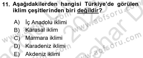 Tarım Ekonomisi Dersi 2025 - 2026 Yılı (Vize) Ara Sınav Soruları 11. Soru