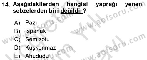 Tarım Ekonomisi Dersi 2025 - 2026 Yılı (Vize) Ara Sınav Soruları 14. Soru