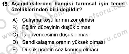 Tarım Ekonomisi Dersi 2025 - 2026 Yılı (Vize) Ara Sınav Soruları 15. Soru