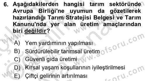 Tarım Ekonomisi Dersi 2025 - 2026 Yılı (Vize) Ara Sınav Soruları 6. Soru