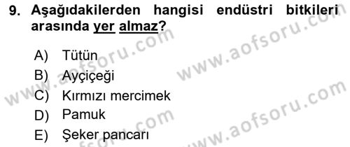 Tarım Ekonomisi Dersi 2025 - 2026 Yılı (Vize) Ara Sınav Soruları 9. Soru