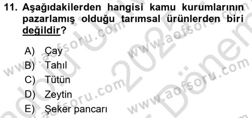 Tarım Ekonomisi Dersi 2025 - 2026 Yılı (Final) Dönem Sonu Sınav Soruları 11. Soru