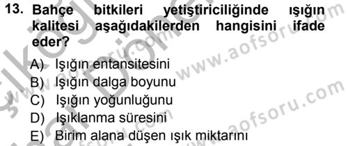 Bahçe Tarımı 1 Dersi 2012 - 2013 Yılı (Vize) Ara Sınav Soruları 13. Soru