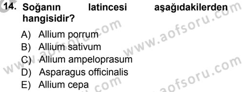 Bahçe Tarımı 1 Dersi 2012 - 2013 Yılı (Vize) Ara Sınav Soruları 14. Soru