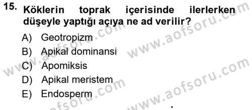 Bahçe Tarımı 1 Dersi 2012 - 2013 Yılı (Vize) Ara Sınav Soruları 15. Soru