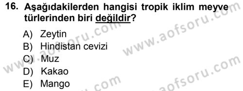 Bahçe Tarımı 1 Dersi 2012 - 2013 Yılı (Vize) Ara Sınav Soruları 16. Soru