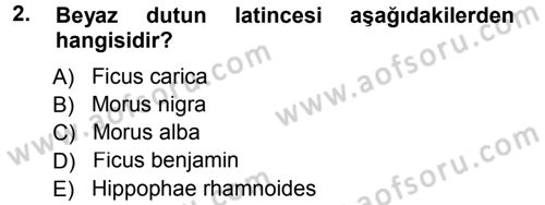 Bahçe Tarımı 1 Dersi 2012 - 2013 Yılı (Vize) Ara Sınav Soruları 2. Soru