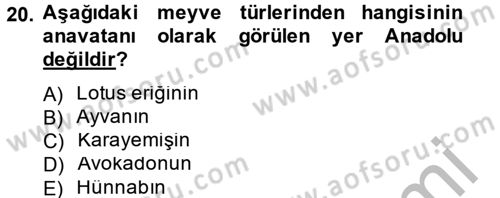 Bahçe Tarımı 1 Dersi 2012 - 2013 Yılı (Vize) Ara Sınav Soruları 20. Soru