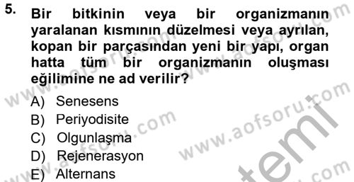 Bahçe Tarımı 1 Dersi 2012 - 2013 Yılı (Vize) Ara Sınav Soruları 5. Soru
